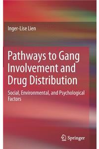 Pathways to Gang Involvement and Drug Distribution