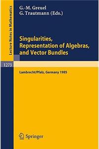 Singularities, Representation of Algebras, and Vector Bundles