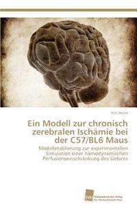 Modell zur chronisch zerebralen Ischämie bei der C57/BL6 Maus
