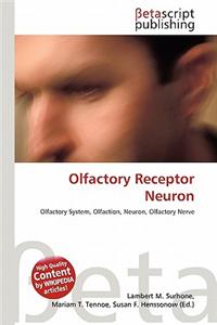 Olfactory Receptor Neuron
