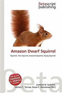 Amazon Dwarf Squirrel