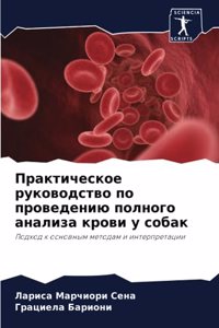 Практическое руководство по проведению