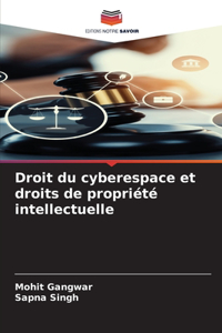 Droit du cyberespace et droits de propriété intellectuelle