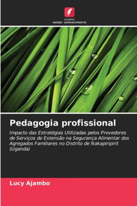 Pedagogia profissional