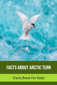 Facts About Arctic Tern (Facts Book For Kids)