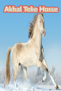 Akhal Teke Horse