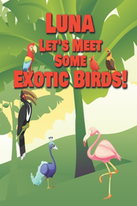 Luna Let's Meet Some Exotic Birds!