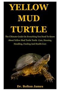 Yellow Mud Turtle