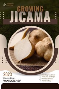 Jicama