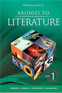 Bridges to Literature