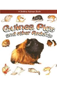 Guinea Pigs and Other Rodents