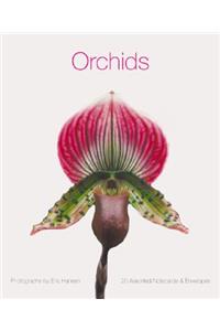 Deluxe Notecards: Orchids