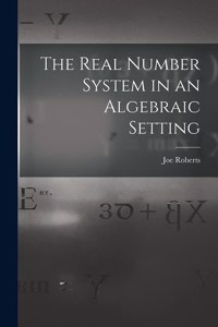 Real Number System in an Algebraic Setting
