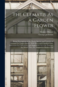 Clematis As a Garden Flower