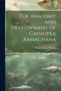 Anatomy and Development of Cassiopea Xamachana