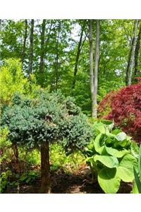 Summer Landscaping School Composition Book