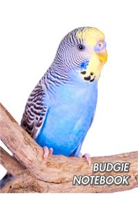 Budgie Notebook