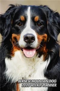 Bernese Mountain Dog 2020 Weekly Planner: Berner Sennenhund - 12 Months - 107 pages 6 x 9 in. - Planner with Journal - Diary - Organizer - Agenda - Appointment - Notes