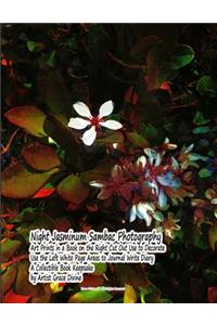Night Jasminum Sambac Photography Art Prints in a Book