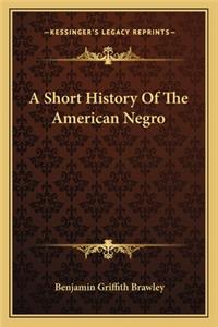 Short History Of The American Negro