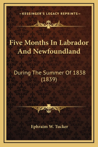 Five Months In Labrador And Newfoundland