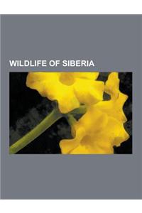 Wildlife of Siberia