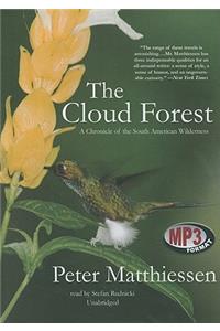 Cloud Forest