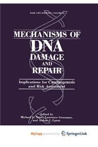 Mechanisms of DNA Damage and Repair