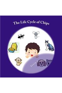 The Life Cycle of Chips