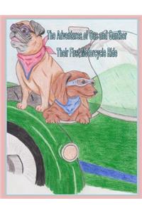 Adventures of Gus and Gunther