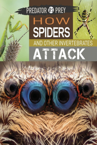 Predator Vs Prey: How Spiders and Other Invertebrates Attack!