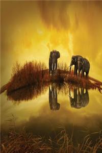 Elephants
