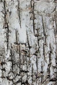 Journal Tree Bark Dry Cracked