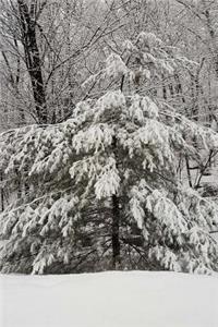 Scenic Winter Photo Journal Evergreen Tree