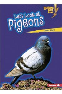 Let's Look at Pigeons