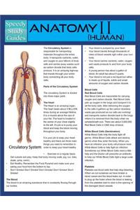 Anatomy II (Human) (Speedy Study Guide)