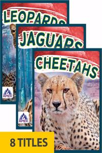 Wild Cats (Set of 8)