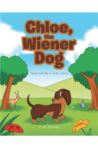 Chloe, the Wiener Dog