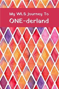 My WLS Journey to ONE-derland