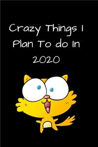 Crazy things I plan To Do In 2020