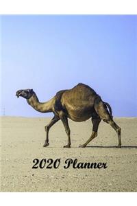 2020 Planner