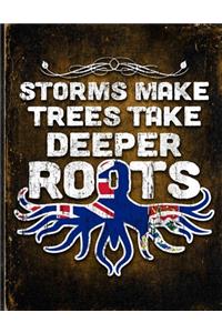 Storms Make Trees Take Deeper Roots
