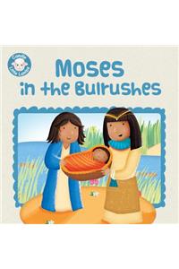 Moses in the Bulrushes