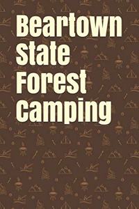 Beartown State Forest Camping