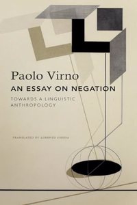 Essay on Negation