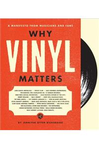 Why Vinyl Matters