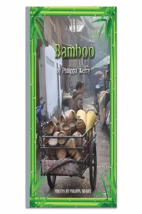 BAMBOO - RR SILVER