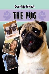 Pug