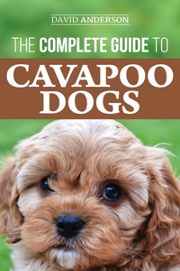 Complete Guide to Cavapoo Dogs: Everything you need to know to successfully raise and train your new Cavapoo puppy