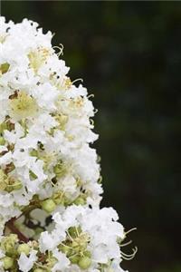Crepe Myrtle Notebook